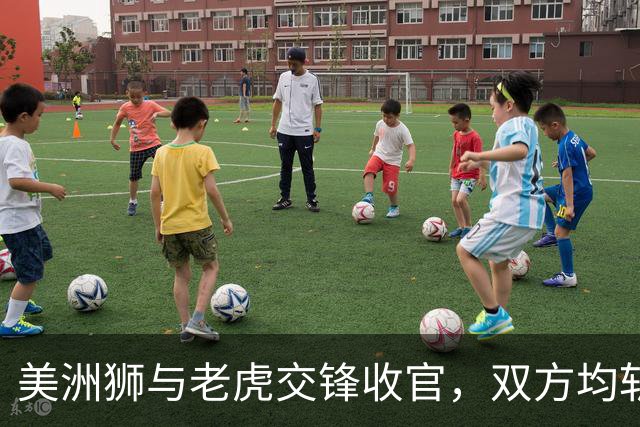 美洲狮与老虎交锋收官，双方均斩获一分